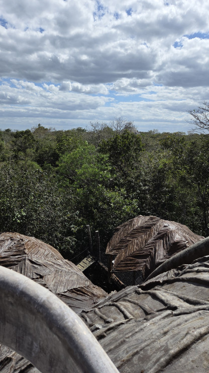 original 20260319 150129