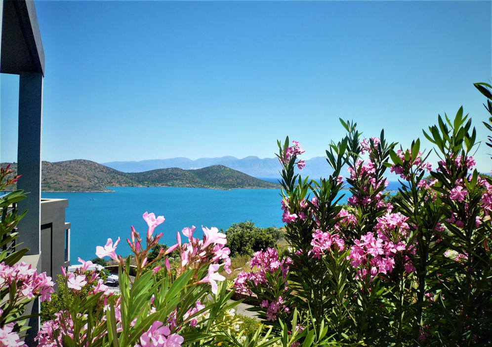Aussicht SENTIDO EloundaBlu